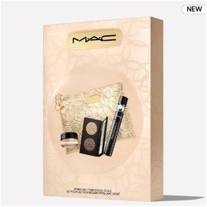 NEW✅MAC Gold: Sparkling Stare Eye Kit